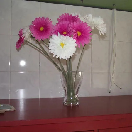 A Casa Di Bitta Bed & Breakfast *